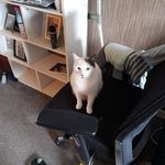 Alex Mcwilliams - @alex.mcwilliams.1428 - Instagram