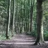 alexmeakin5 - @alexmeakin5 - TikTok