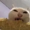 Alex Medrano - @alexmedranog - TikTok