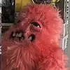 a.lexmedrano - @a.lexmedrano - TikTok