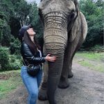 Alexandra Meiring - @alexxmeiring - Instagram