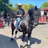Alex Melgar - @alexmelgar014 - TikTok
