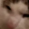 Aleko_ITA_ - @alex_miao_ - TikTok