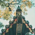 Alex Miao - @omanalexmiao - Instagram