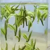 Alexmiao08 - @alexmiao08 - TikTok