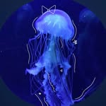 Alex Milner - @deletethebugs - Instagram