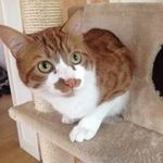 Alex Mogg - @midnightmogg - Instagram