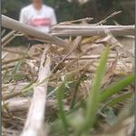 ꧁Suman꧂ - @alex_moggar - Instagram
