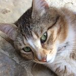 Alex1435 - @alex_moretti_1435 - Instagram
