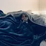 Alex Munroe - @alexmunroe2 - TikTok