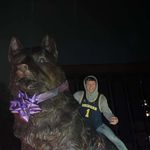 Alex - @alexmunson_ - Instagram