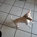 Alex Nava - Facebook