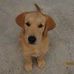 Alex Neoh - Facebook