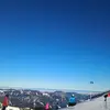 AlexNeul - @alexneul - TikTok