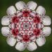 Alex Neumann - Facebook