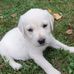 Alex Neus - Facebook