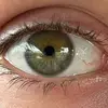 Damian Alex Neuser - @damian6900 - TikTok