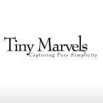 Alex - Ott/Gat Newborn Photog - @tinymarvels - Instagram