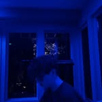 Alex Newcomb - @alex.newcomb_ - Instagram