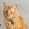 Alexa - @alexanewlin6 - TikTok