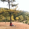 Alex Nhan - @alexnhan147 - TikTok