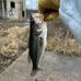 Alex Nida - Facebook