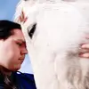 Leonnidas_alex - @leonnidas_alex - TikTok