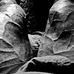 Alex Nikulin - Facebook