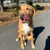Niles - @niles.alex - TikTok