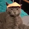 Alex.nilo - @alex.nilo22 - TikTok