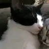 Alex nims - @alex.nims - TikTok
