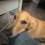 Alex Nimsh - Facebook