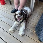 Alex Hein - @alex_the_nipper - Instagram