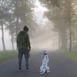 Alex Nissen - @alex_bavarian - Instagram