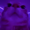 alexcitten - @nodealex - TikTok