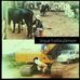 Alex Noh - Facebook