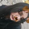 Alex noh - @yoselin_noh - TikTok