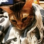 Alex Noir - @_alex.noir_ - Instagram