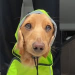 Alex Ohlson - @alexohlson - Instagram