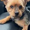 Alex Oliveira - @alex.oliveira670 - TikTok