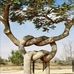 Alex Oppong - Facebook