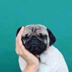 Alex - @_alex__pak_ - Instagram