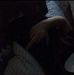Alex Palacios - Facebook