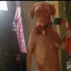 Alex Palacios - @_chilly10_ - TikTok