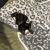 alex_parker06 - @alex_parker06 - TikTok