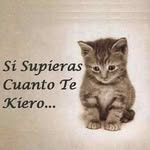Alex Leonely Parley - @janca.morales.3 - Instagram