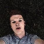Alex Partington - @pommy.for.life - Instagram