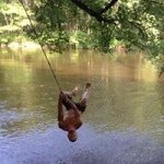 Alex Paynton - @awp1644 - Instagram