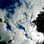 Alexander Peereboom - @alex.peer - Instagram