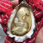 Alex Penfold - @alpenfold - Instagram